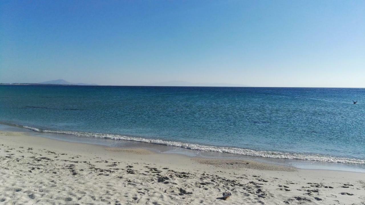 Naxos Is The Way Apartment Kastraki  Bagian luar foto