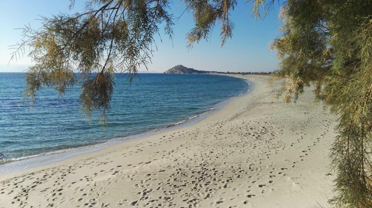 Naxos Is The Way Apartment Kastraki  Bagian luar foto